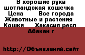 В хорошие руки шотландская кошечка › Цена ­ 7 - Все города Животные и растения » Кошки   . Хакасия респ.,Абакан г.